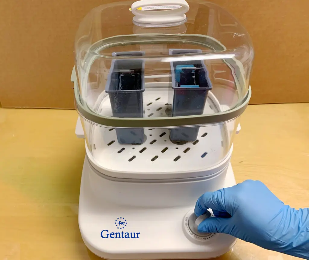 gentaur-epitope-retrieval-steamer-set4.webp